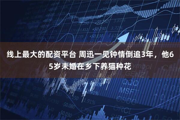 线上最大的配资平台 周迅一见钟情倒追3年，他65岁未婚在乡下养猫种花